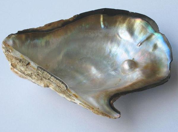 How Are Pearls Formed?
