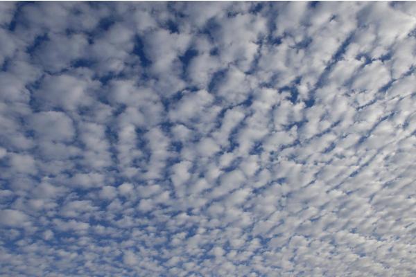 What Are Cirrocumulus Clouds? - How do cirrocumulus clouds?