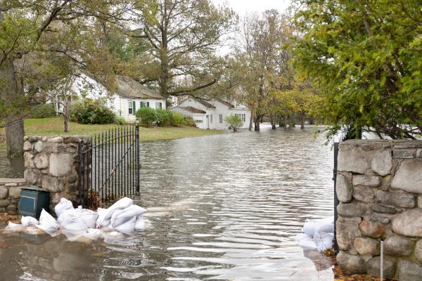 How Does Climate Change Impact Hurricanes? - How do hurricanes form?