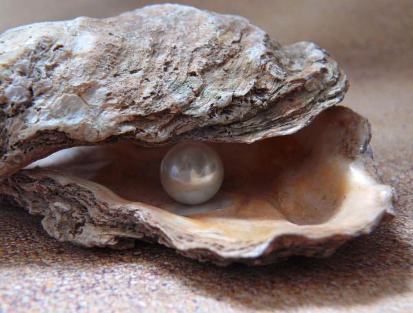 How Are Pearls Formed? - How do mollusks make pearls?