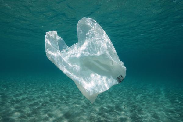 What Is the Impact of Plastic Bags on the Environment? - How do plastic bags contribute to climate change?