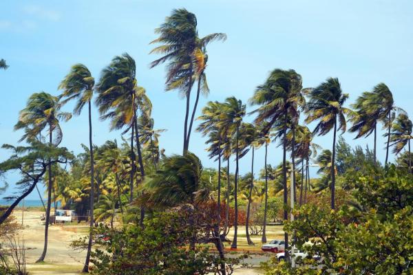 What Is a Sea Breeze? - How do sea breezes form?