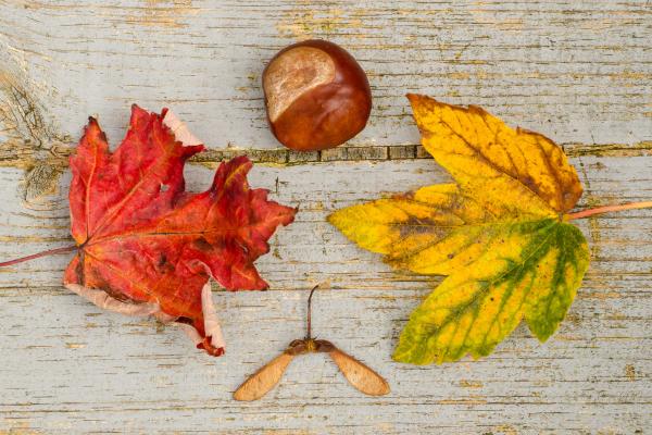 What Is the Reason for Different Seasons? - How do weather patterns change throughout the seasons?