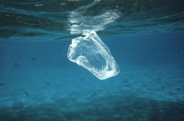 How Long Does Biodegradable Plastic Take to Degrade? - How does normal plastic degrade?