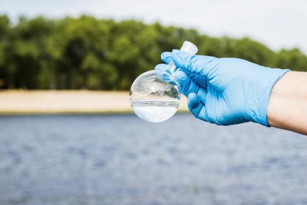 How Does Sedimentation Affect the Water?