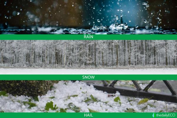 What Are Hydrometeors? - Definition and Types - How hydrometeors become precipitation