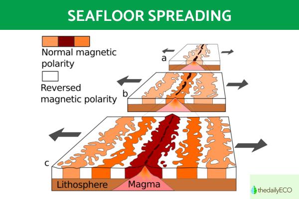 What Is a Mid-Ocean Ridge? - Definition - How is a mid-ocean ridge formed?