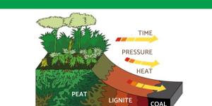 How Is Coal Made?