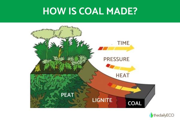 How Is Coal Made?