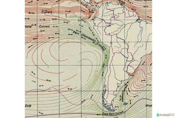 What Is the Humboldt Current? - How is the Humboldt Current formed?