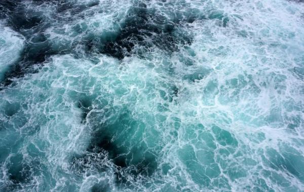How Much of the Earth Is Covered by Water? - How is water distributed on Earth?
