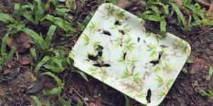 How Long Does Biodegradable Plastic Take to Degrade?