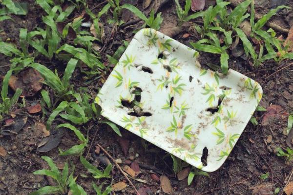 How Long Does Biodegradable Plastic Take to Degrade?