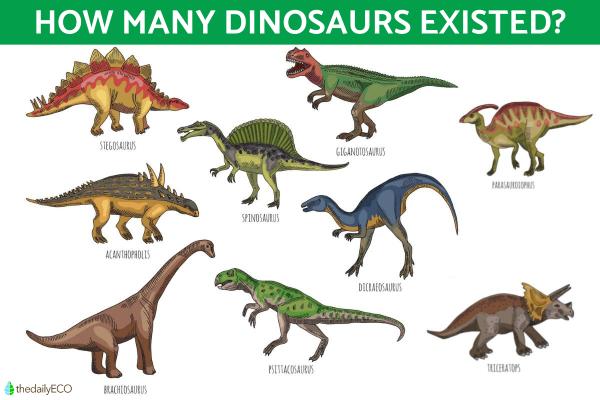 How Many Kinds of Dinosaurs Were There?