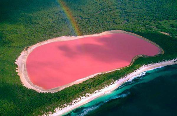 What Are Pink Lakes? - Definition, Location and Ecological Importance - How many pink lakes are there in the world?