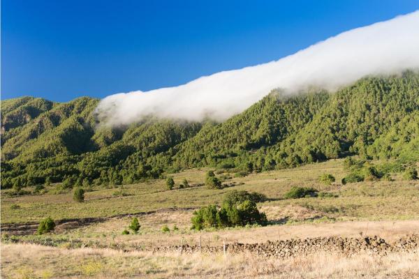 What Is the Foehn Effect? - Foehn Wind Definition - How the Foehn effect occurs