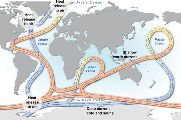What Drives Deep Ocean Currents? - How the thermohaline circulation cycle works