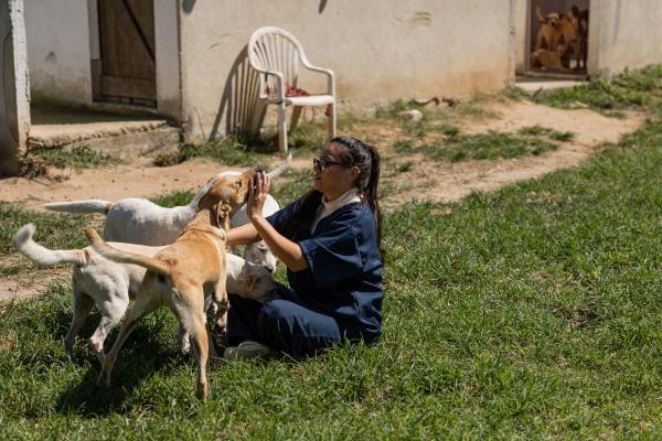 When Is World Animal Day Celebrated? - How to celebrate World Animal Day