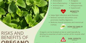 How to Grow and Use Oregano