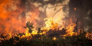 How to Help Stop Wildfires?