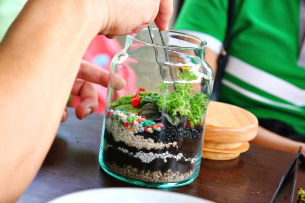 Eternal Gardens - Closed Ecosystem in a Glass Bottle - How to make an eternal garden