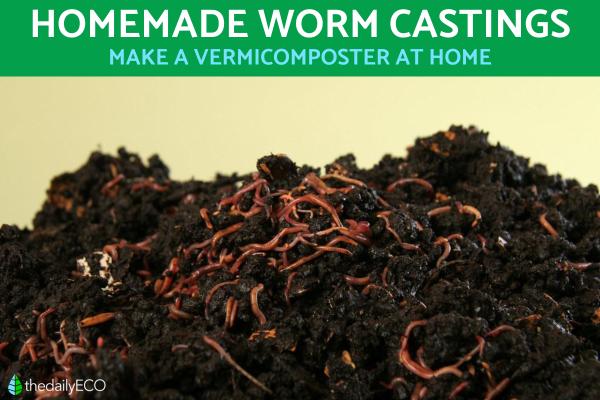 How to Make Worm Castings at Home