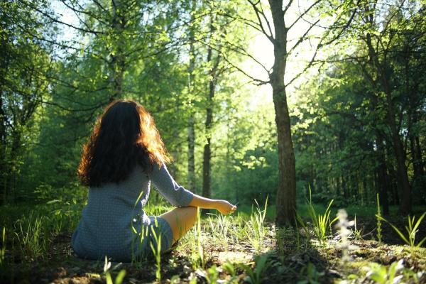 Forest Bathing - Discover the Power of Shinrin-yoku - How to practice forest bathing