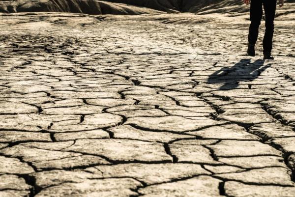 What Is Soil Degradation? - How to prevent soil degradation