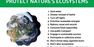 How to Protect Nature's Ecosystems