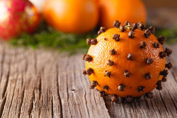 How to Repel Mosquitoes Naturally