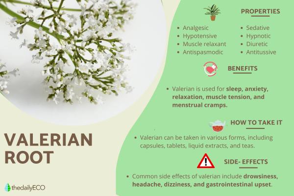 How to Take Valerian Root for Sleep and Anxiety