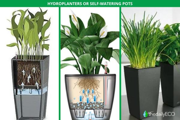 How to Water Indoor Plants While on Vacation - How to use hydroplanters or self-watering pots to water your plants while on vacation