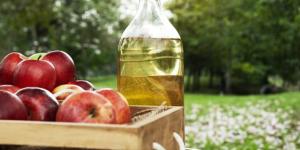 How to Use Vinegar for Plants