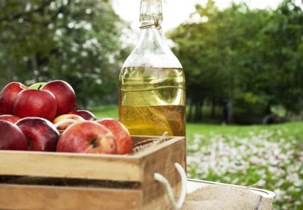How to Use Vinegar for Plants