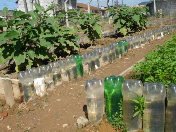 How to Water Indoor Plants While on Vacation - How to water plants with a bottle while on vacation