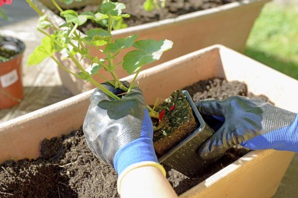 Why Do We Celebrate Earth Day? - How you can get involved