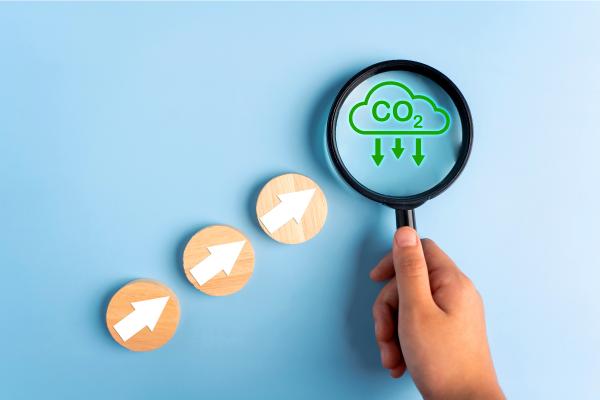 Understanding the Carbon Cycle - Human interventions in the carbon cycle