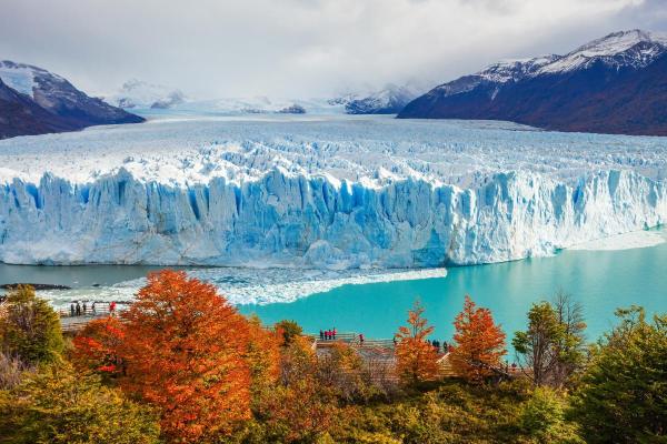 Types of Snow - Names and Formation - Importance of snow in glacier dynamics