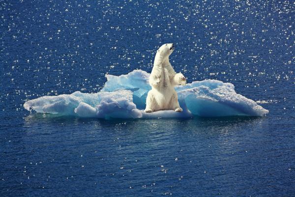 What Is the Cryosphere? - Importance of the cryosphere in the climate system