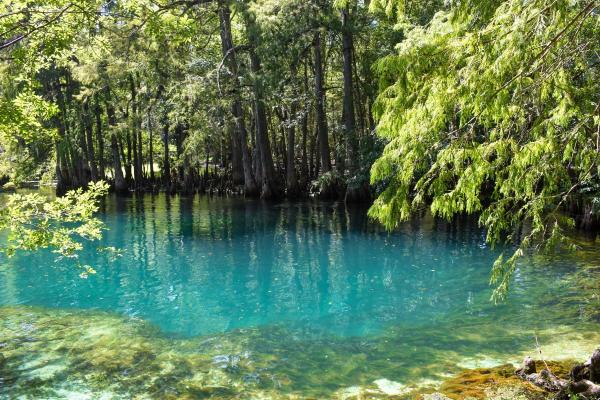 What Are Water Springs? - Importance of water springs