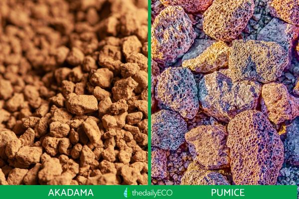 What Is Akadama Soil for Bonsai? - Is akadama the same as pumice?