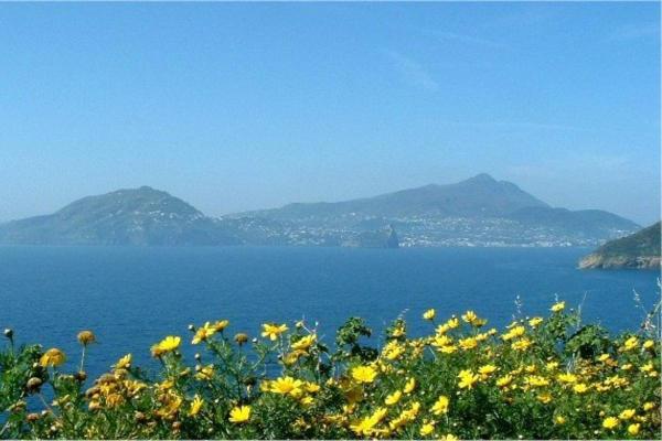 What Is a Supervolcano in Geography? - Ischia (Italy)