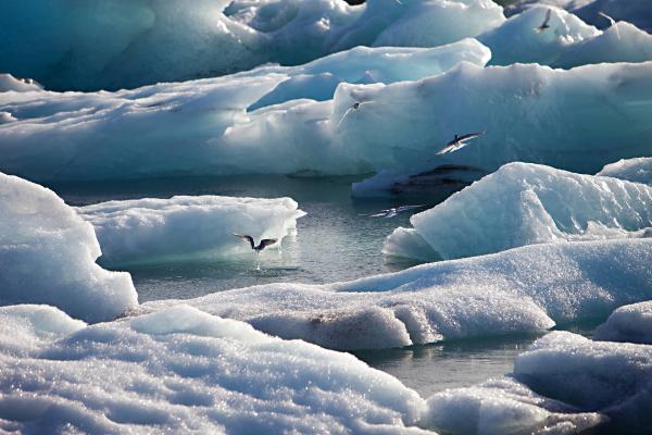 What Is the Cryosphere? - Key Characteristics of the cryosphere