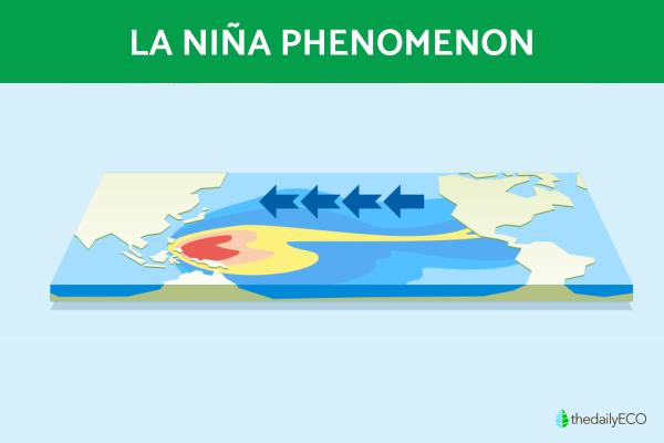 La Niña Phenomenon - What It Is, Causes and Consequences