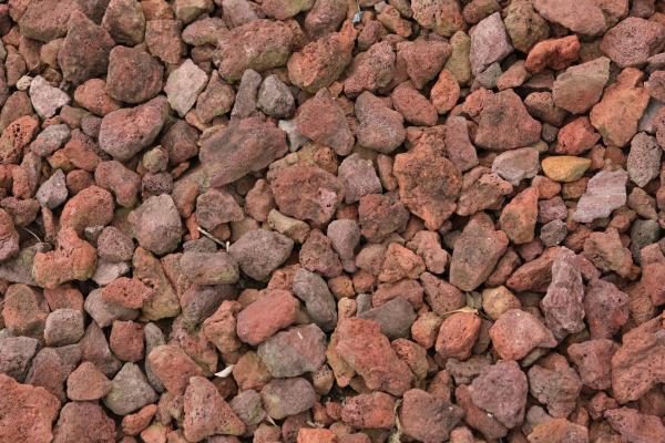 Lava Rock for Plants