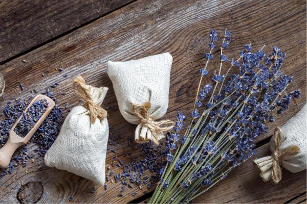Worms Hanging From the Ceiling - Lavender