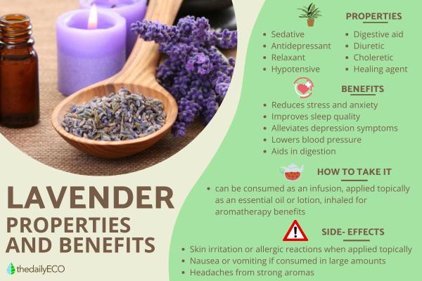 Lavender - Properties, Benefits, and Side Effects