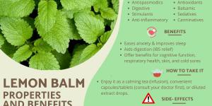 Lemon Balm - Benefits, Uses & Safety Guide