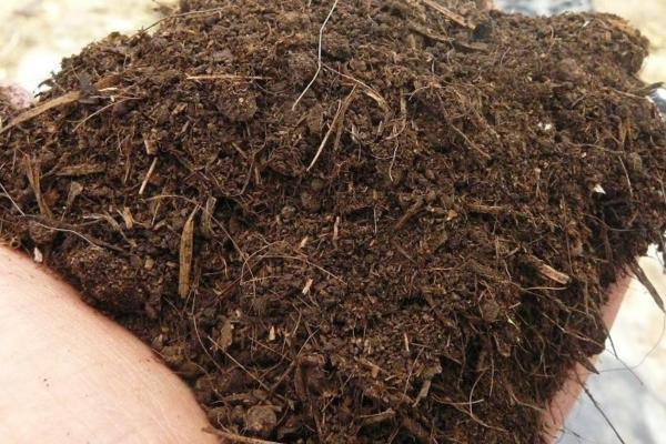 Disadvantages of Organic Fertilizers - Limited nutrients