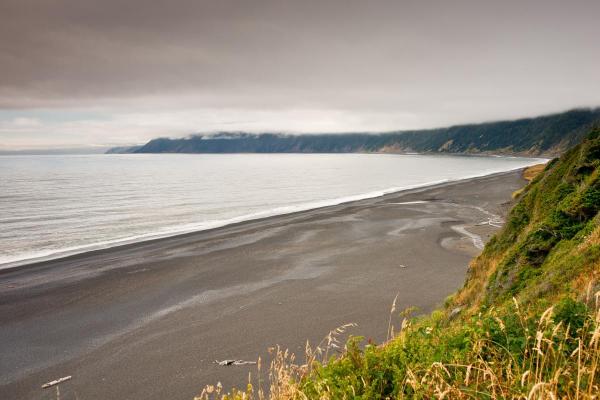 Top Black Sand Beaches Around the World - Lost Coast, United States